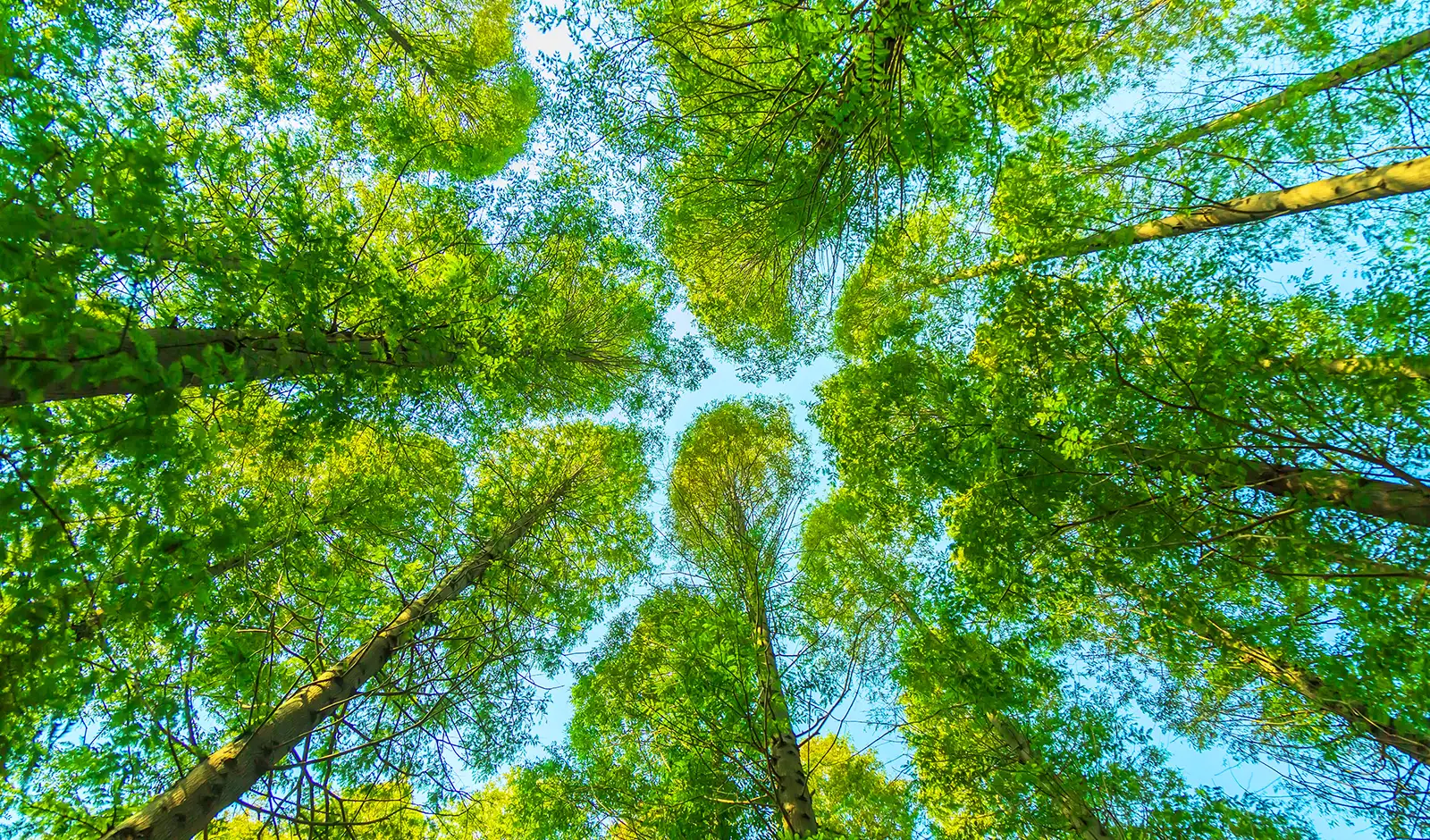 Protezione dell'ambiente