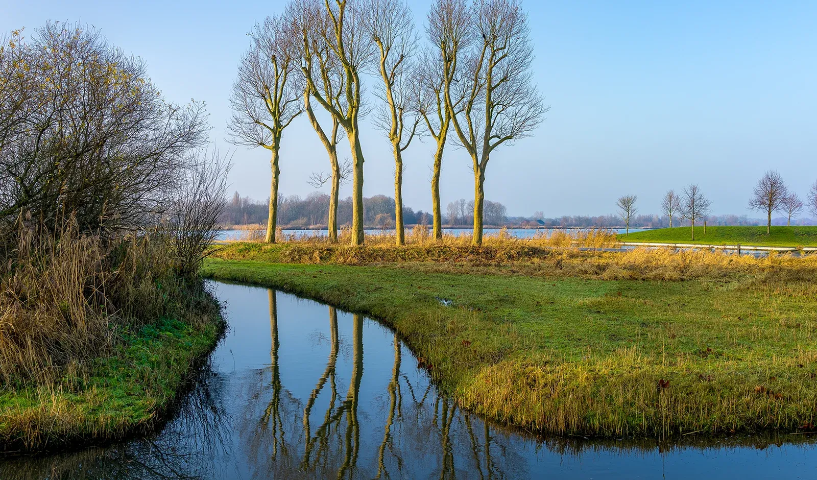 Sanificazione delle acque