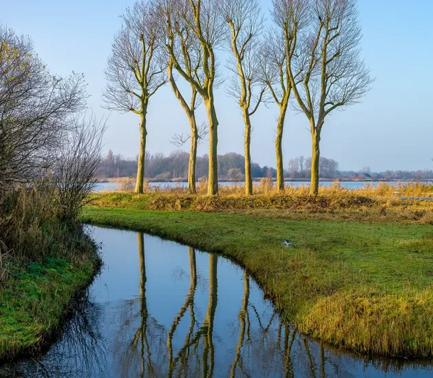 Sanificazione delle acque